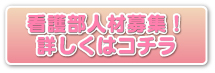 看護部人材募集